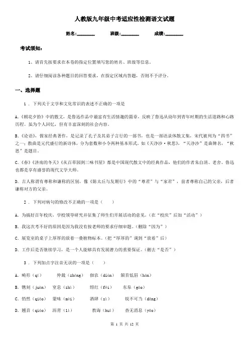 人教版九年级中考适应性检测语文试题
