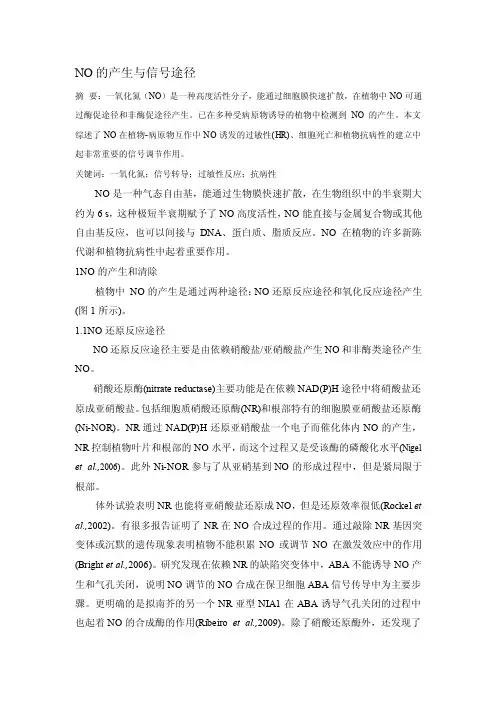 [实践]NO的产生与信号途径