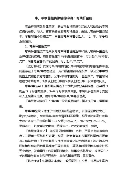 牛、羊细菌性传染病的诊治：弯曲杆菌病
