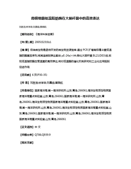 南极细菌低温脂肪酶在大肠杆菌中的高效表达