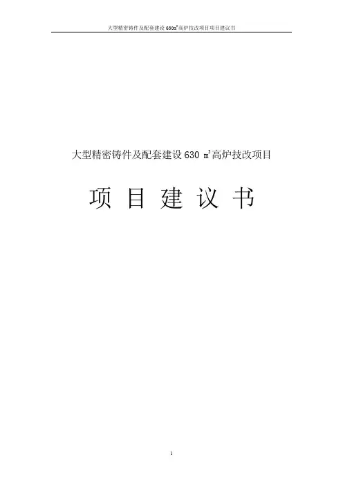 大型精密铸件及配套建设630m3高炉技改项目项目建议书