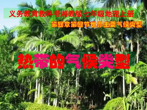 湘教版七年级地理上第四章 世界的气候第四节热带的气候类型教学课件