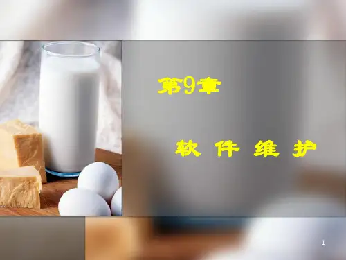 软件维护PPT课件