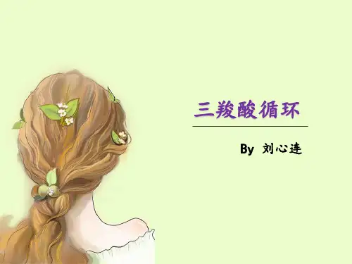 三羧酸循环