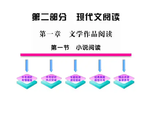 2015版初中语文新课标全程复习课件：2.1.1 小说阅读(专题突破版)