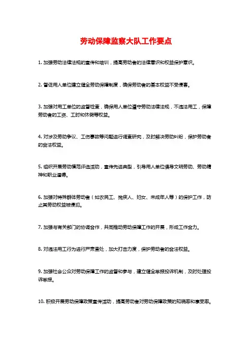 劳动保障监察大队工作要点 (2)