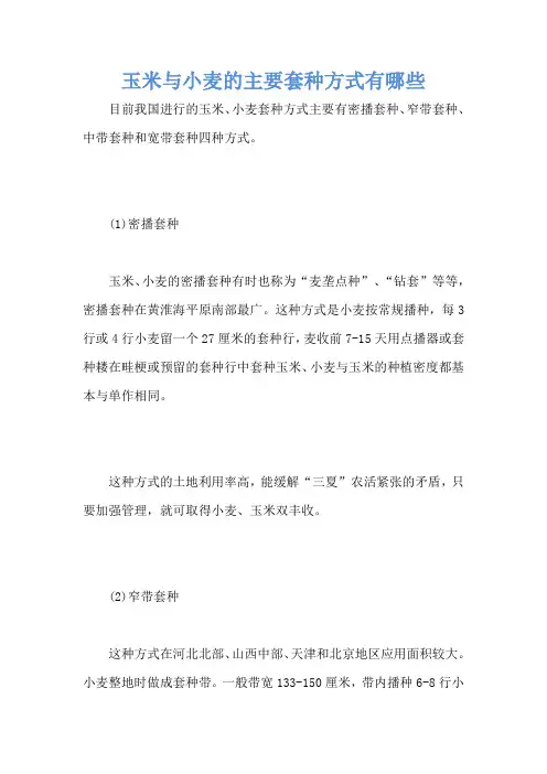 玉米与小麦的主要套种方式有哪些