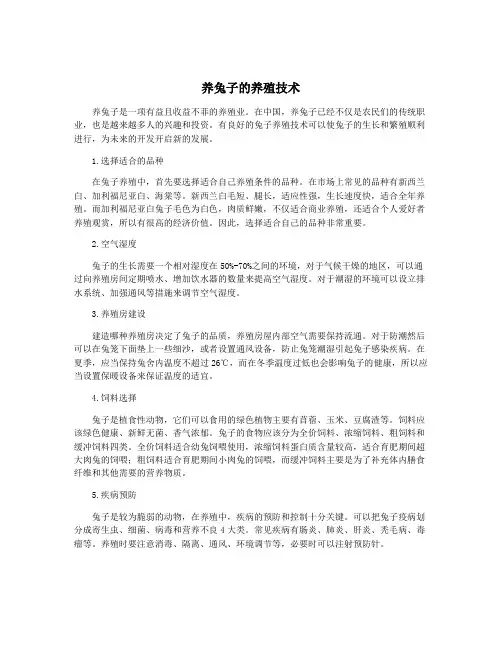 养兔子的养殖技术