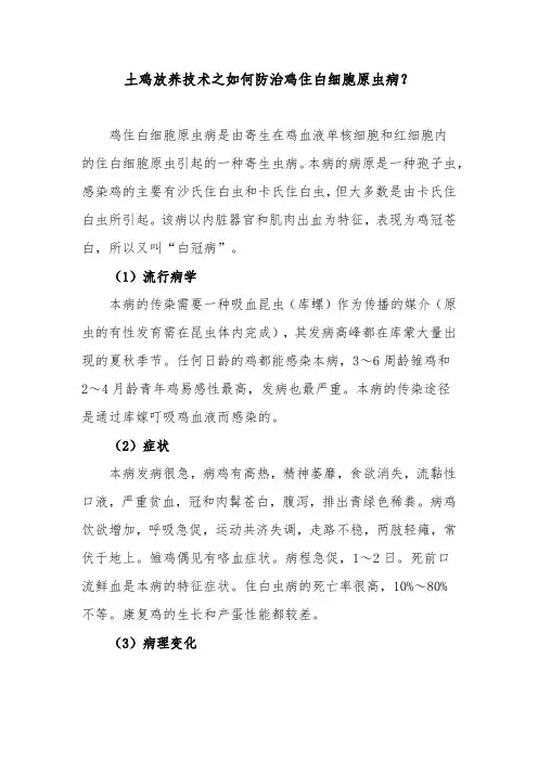 土鸡放养技术之如何防治鸡住白细胞原虫病？