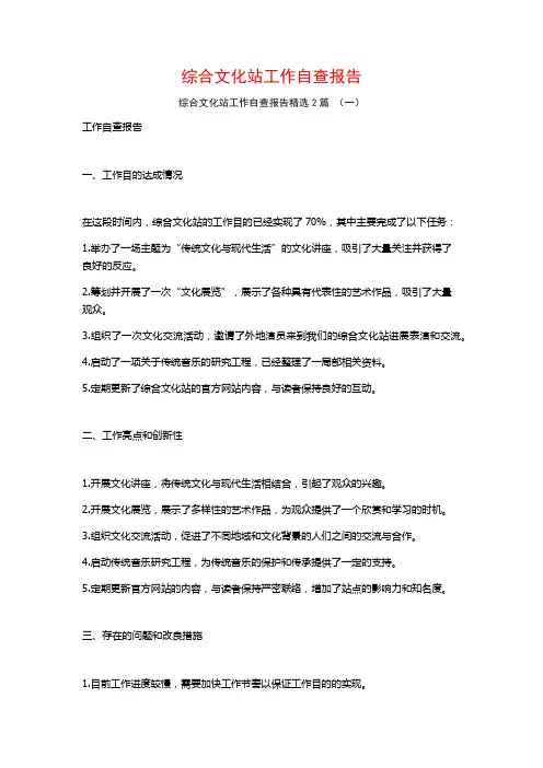 综合文化站工作自查报告2篇