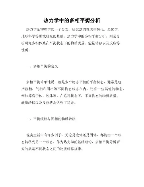 热力学中的多相平衡分析