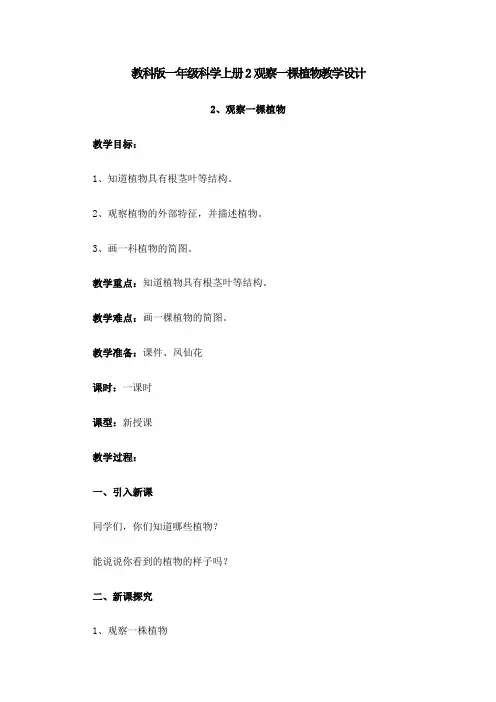 教科版一年级科学上册2观察一棵植物教学设计