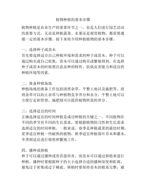 植物种植的基本步骤