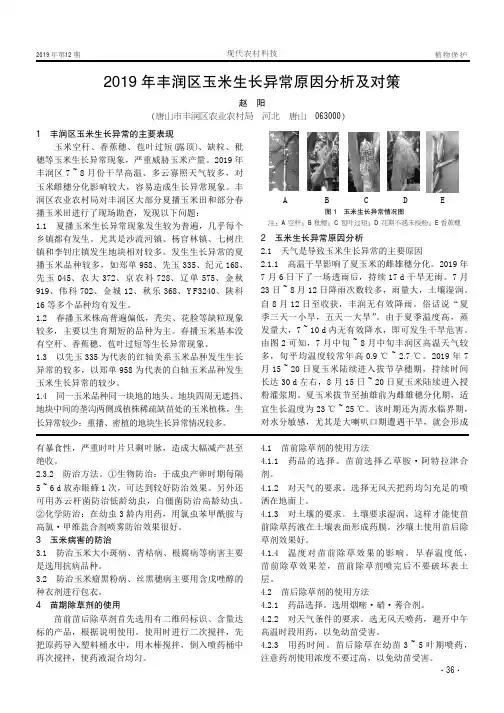 2019年丰润区玉米生长异常原因分析及对策