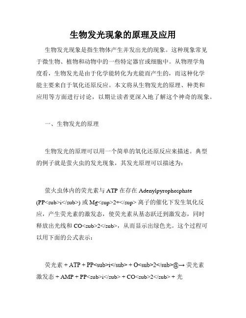 生物发光现象的原理及应用