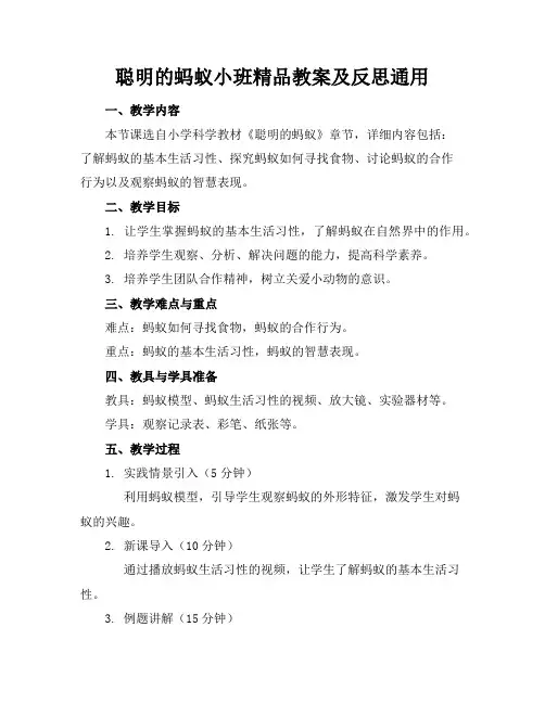 聪明的蚂蚁小班精品教案及反思通用