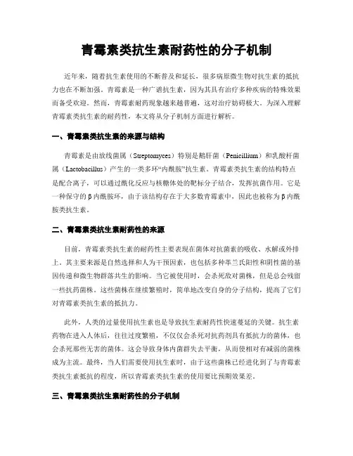 青霉素类抗生素耐药性的分子机制