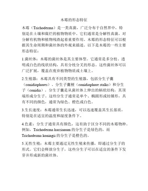 木霉的形态特征