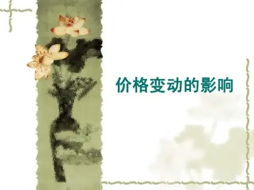 价格变动的影响