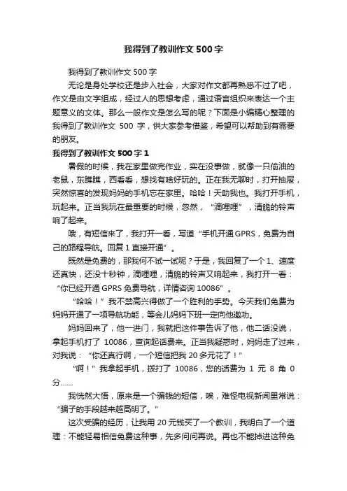 我得到了教训作文500字