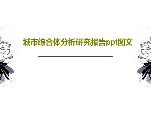 城市综合体分析研究报告ppt图文59页PPT