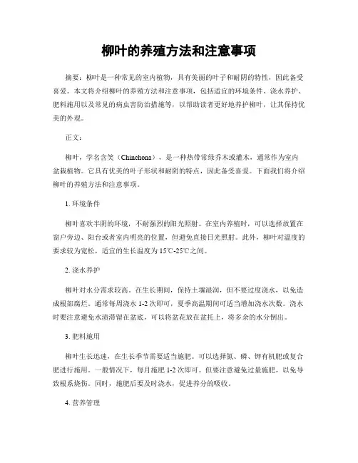 柳叶的养殖方法和注意事项