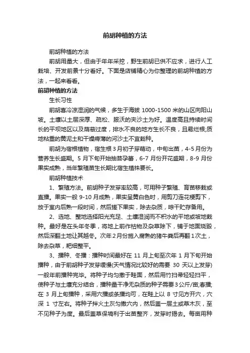 前胡种植的方法