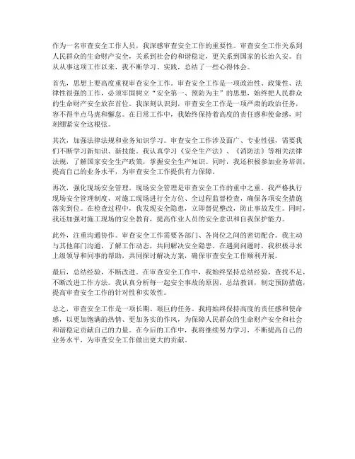 审查安全工作心得体会