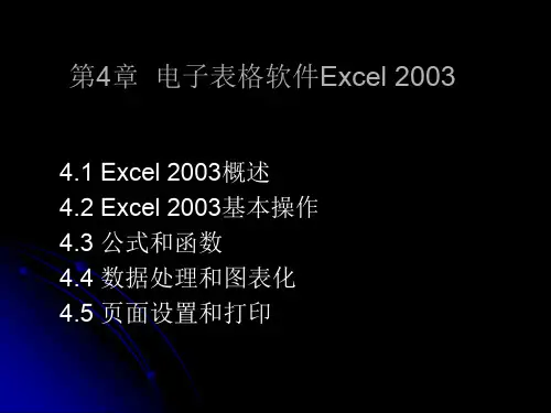电子表格软件Excel2003使用教程