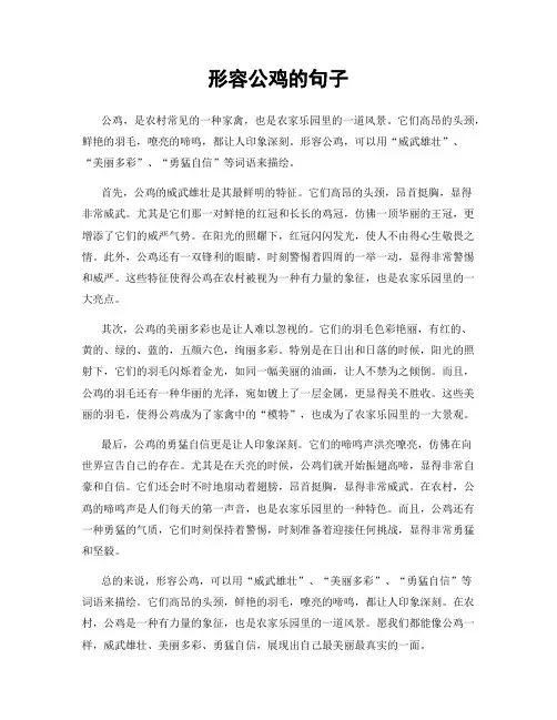 形容公鸡的句子