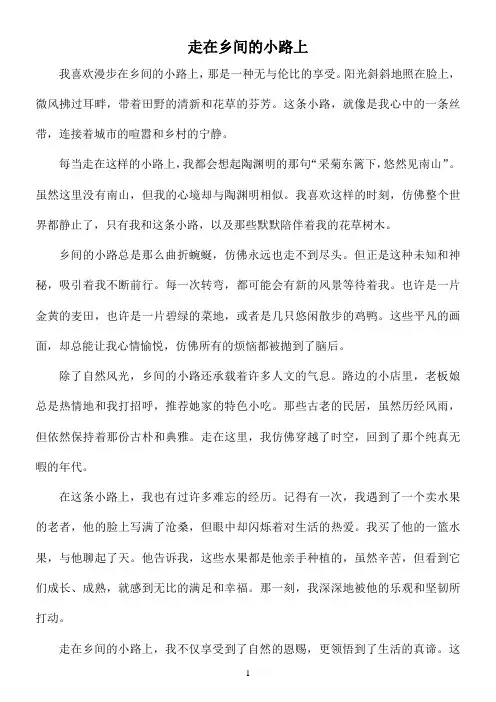 走在乡间的小路上高中作文范文