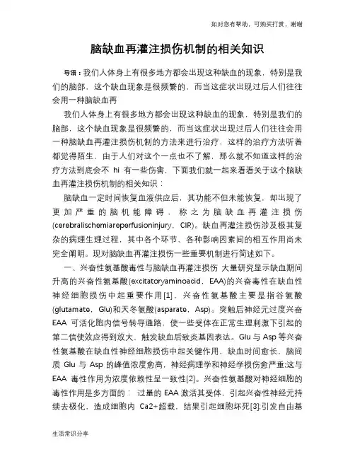 脑缺血再灌注损伤机制的相关知识