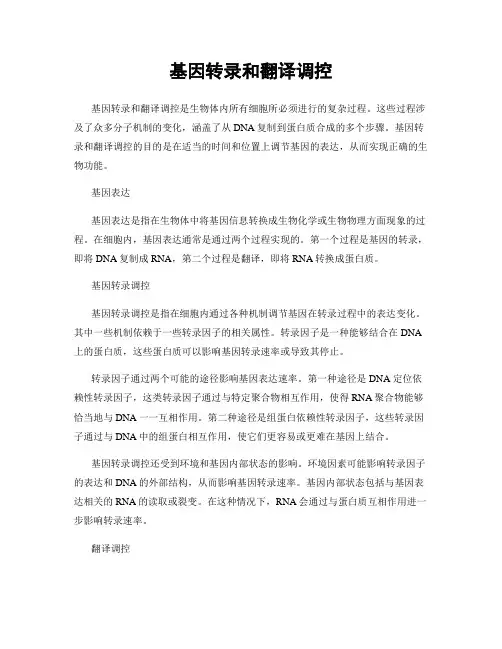 基因转录和翻译调控