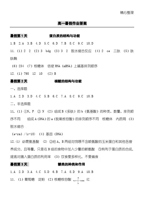 高一效率暑假生物暑假作业答案
