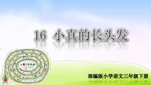 部编人教版三年级语文下册第16课《小真的长头发》优秀PPT课件