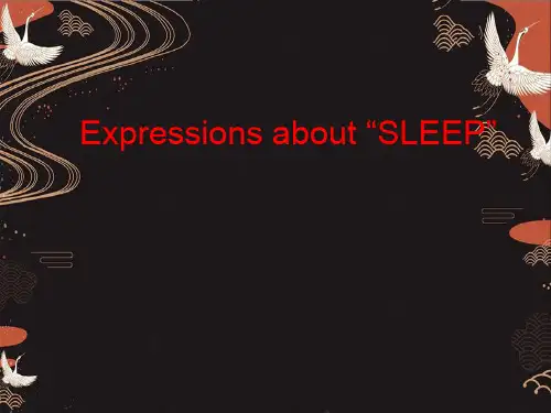 睡觉相关英语词汇表达Expressions about “SLEEP(共17张PPT)