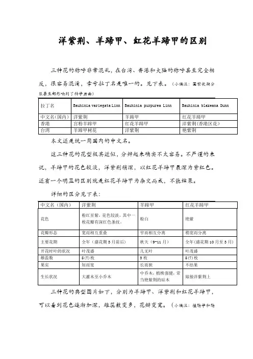 各种紫荆花的区分