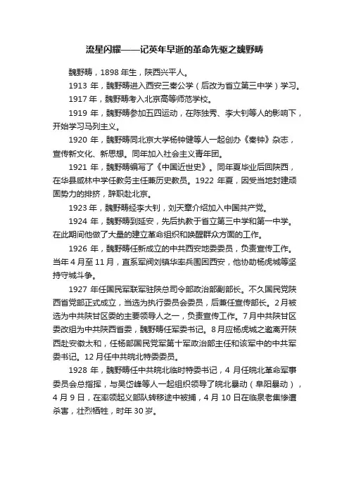 流星闪耀——记英年早逝的革命先驱之魏野畴