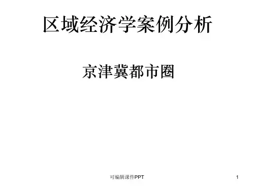 区域经济学案例分析ppt课件