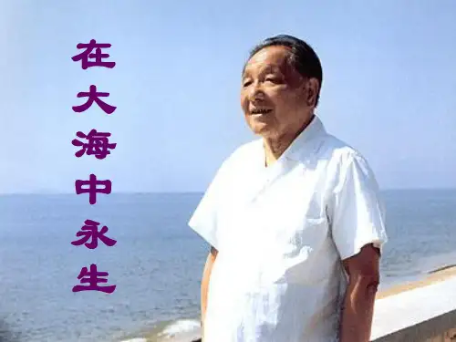 在大海中永生PPT课件