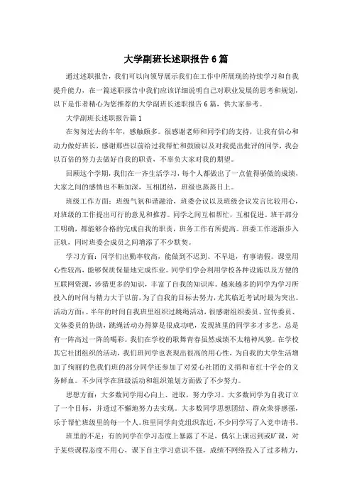 大学副班长述职报告6篇