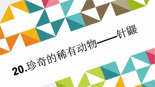 七年级语文下册(语文版)习题课件20.珍奇的稀有动物——针鼹