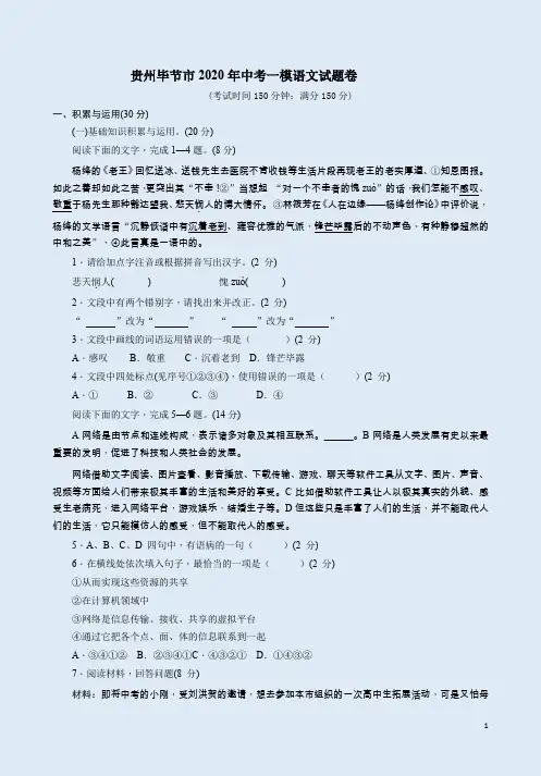 贵州毕节市2020年中考一模语文试题卷附答案解析