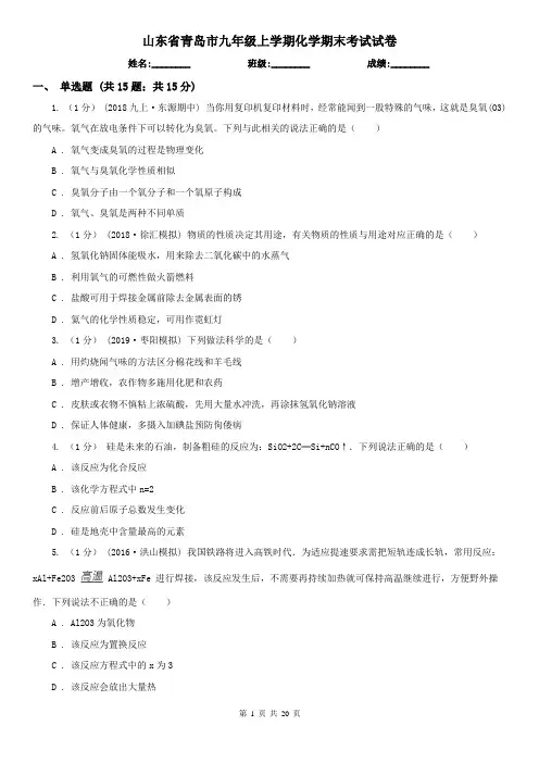 山东省青岛市九年级上学期化学期末考试试卷