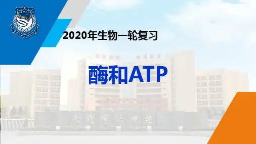 2020年生物高考一轮复习课件-酶和ATP