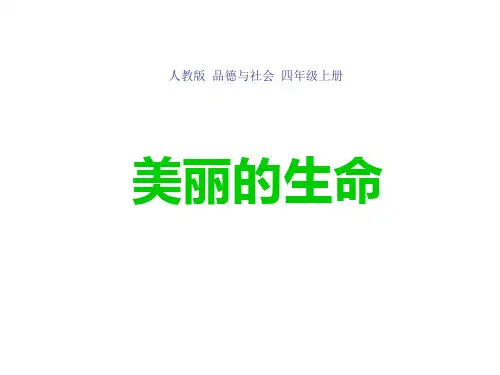 四年级上册品德与社会课件-美丽的生命 ppt【人教新课标】优质课