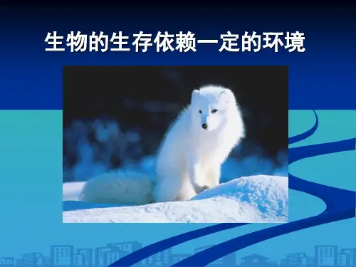 《生物的生存依赖一定的环境》PPT课件