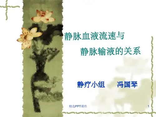 静脉血液流速与输液PPT课件