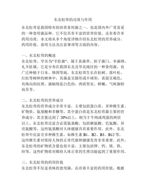 东北松茸的功效与作用