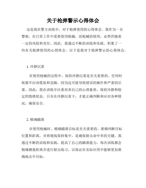 关于枪弹警示心得体会